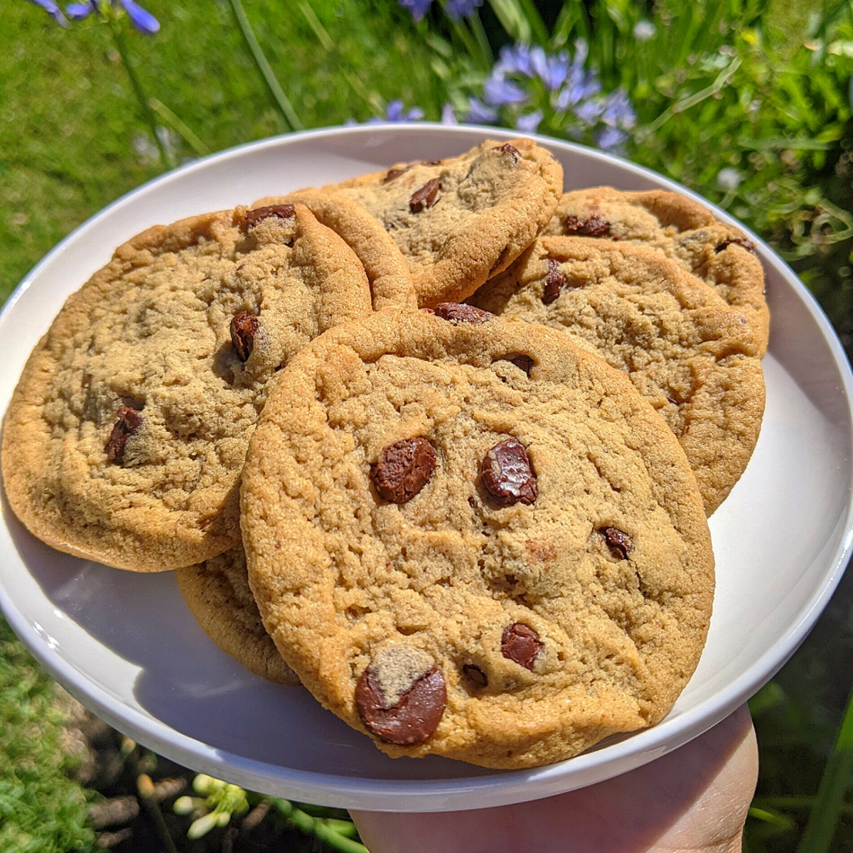 Vegan Chocolate Chip Cookies from Sprouts Farmers Market - Vegan