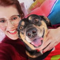 @alexandrazamb profile image