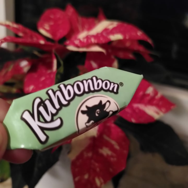 review photo of Kuhbonbon Kuhbonbon Double Choc shared by @kathalovesturtles on 19 Dec 2021 - review
