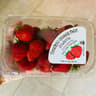 Tomatero Organic Farm