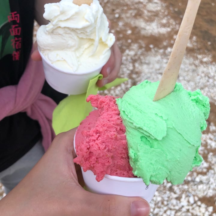 photo of Fuori Giri Vegan ice cream shared by @alex22ia on  26 Jun 2022 - review