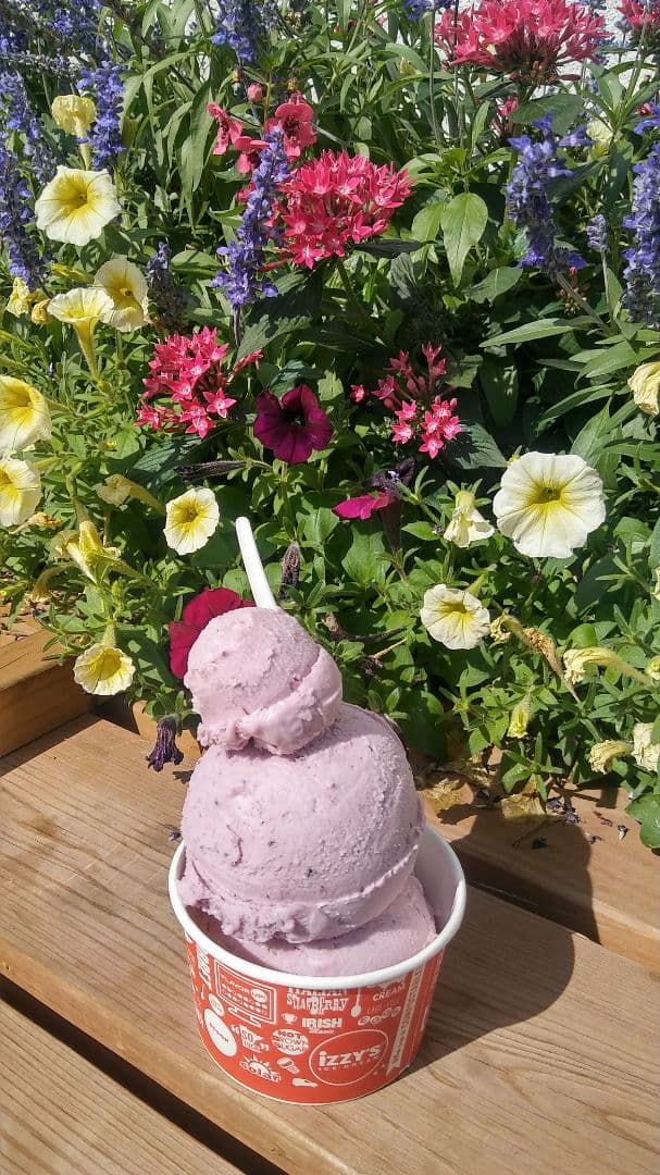 Izzy's Ice Cream