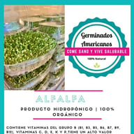 Germinados Americanos