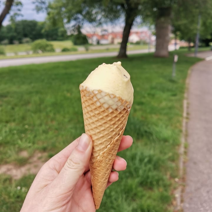 photo of Eiscafé Eisblume Mango-Eis shared by @greencyclesarah on  12 Jun 2021 - review