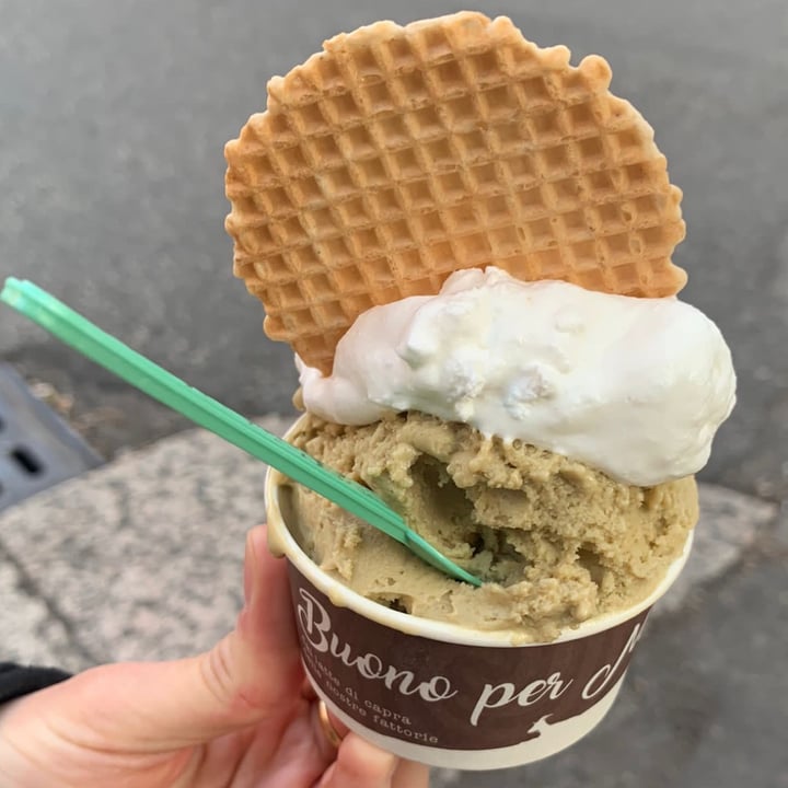 photo of Gelateria Terra & Cuore - Porta Palio Gelato vegano al pistacchio con panna montata vegana shared by @martina01 on  23 Mar 2022 - review