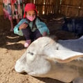 priscillabaptista @priscillabaptista profile image
