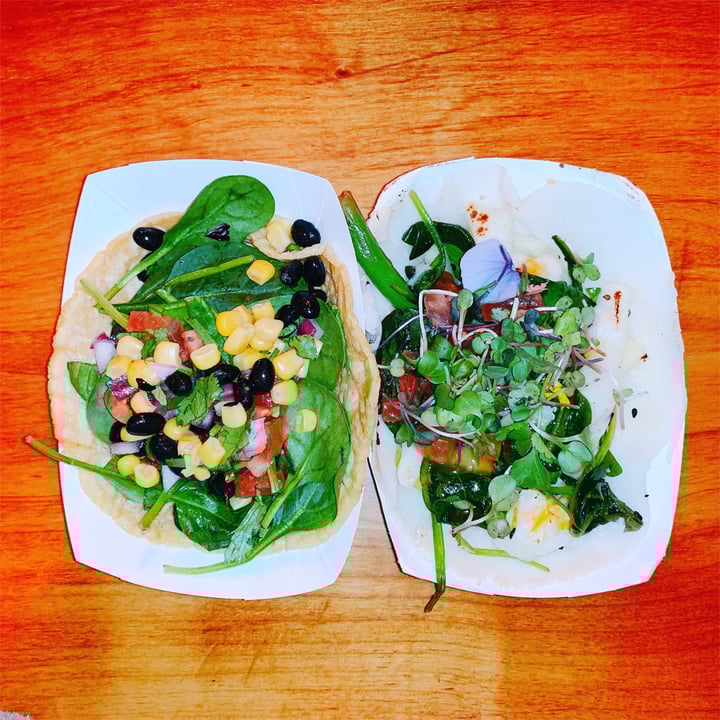 review photo of City Tacos Tacos shared by @terrypaulette on 07 Feb 2020 - review
