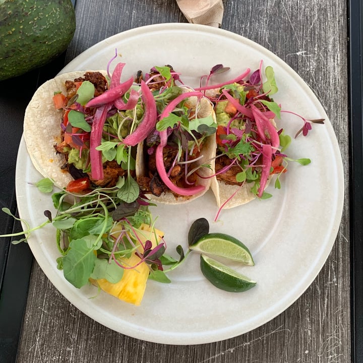 photo of Journey to Good Health Cafe LLC Jackfruit Tacos shared by @shakitz on  03 Jun 2021 - review