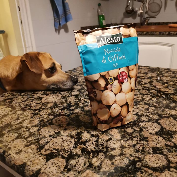 review photo of Alesto Nocciola di Giffoni IGP shared by @sonny2009 on 30 Jan 2022 - review