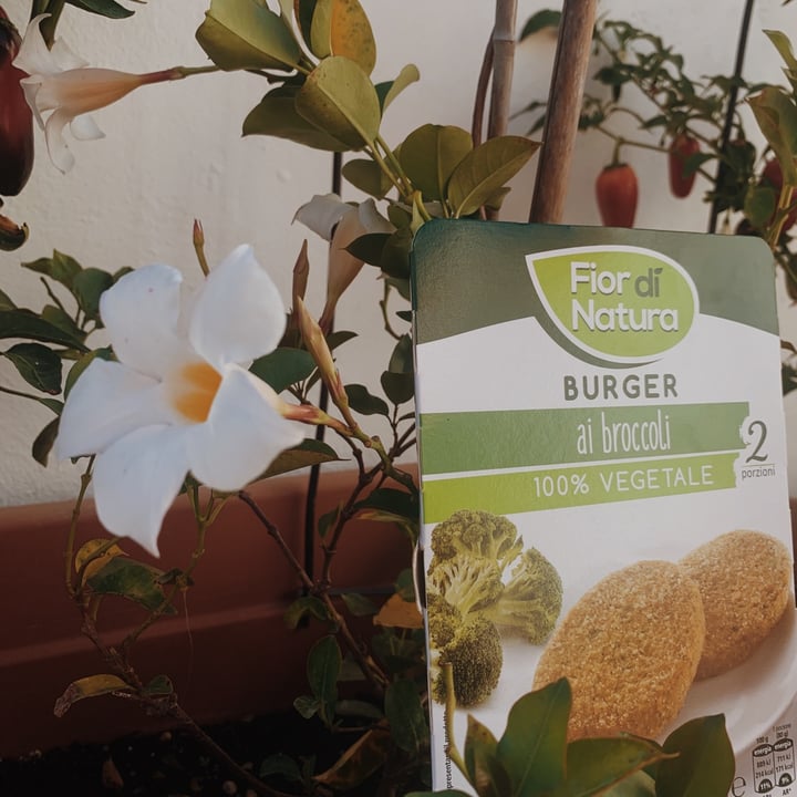review photo of Fior di Natura Burger Ai Broccoli shared by @clarislide on 03 Sep 2020 - review