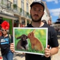 simonflames @simonflames profile image