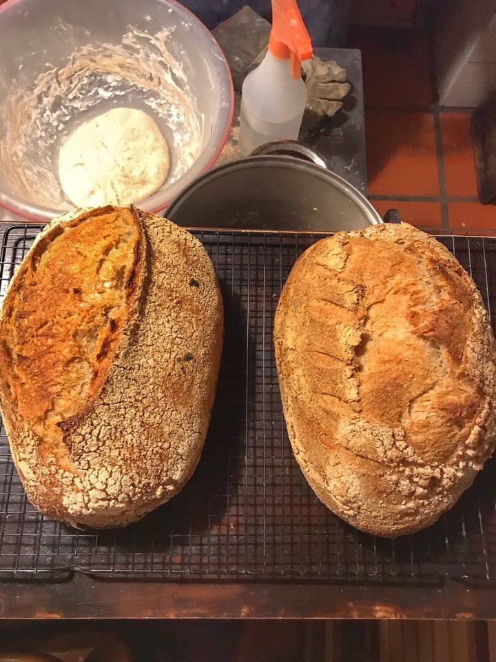 review photo of Vallegrande Pan De Masa Madre shared by @romitutu on 19 Dec 2019 - review