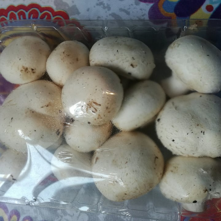 review photo of Vemondo Champiñones shared by @correlolacorre on 23 Jan 2022 - review