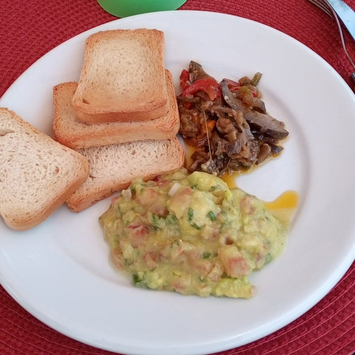 review photo of Santuário Ecológico Rancho dos Gnomos Guacamole E Caponata De Beringela Delicia De Entradinha shared by @fernandasena4 on 21 Oct 2022 - review