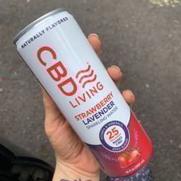 CBD Living