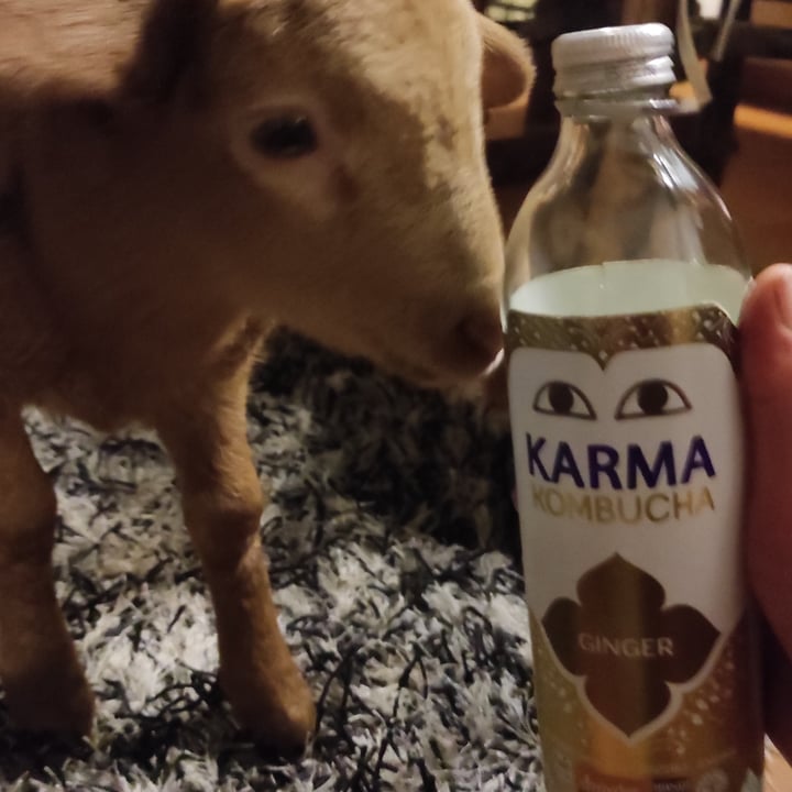 photo of Demeter Karma Kombucha shared by @elur on  07 Dec 2021 - review