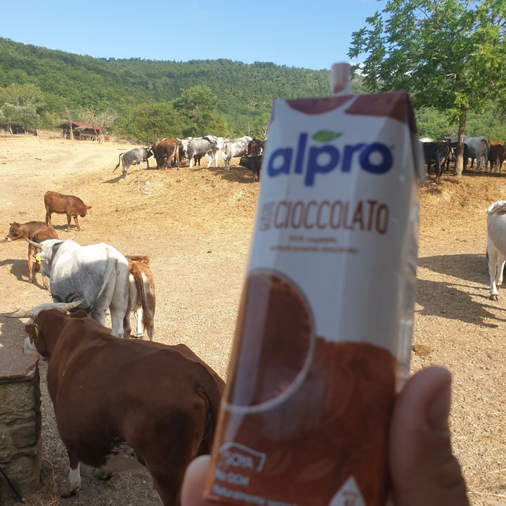 review photo of Alpro Gusto Cioccolato shared by @alessandramigliorini on 25 Jun 2022 - review