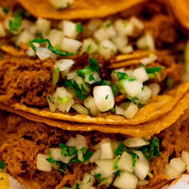 photo of Nissi Vegan Méxican Cuisine LLC. Vegmex birria tacos shared by @kalemecharlie on  01 May 2022 - review
