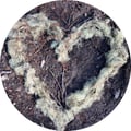 thrasherbird @thrasherbird profile image