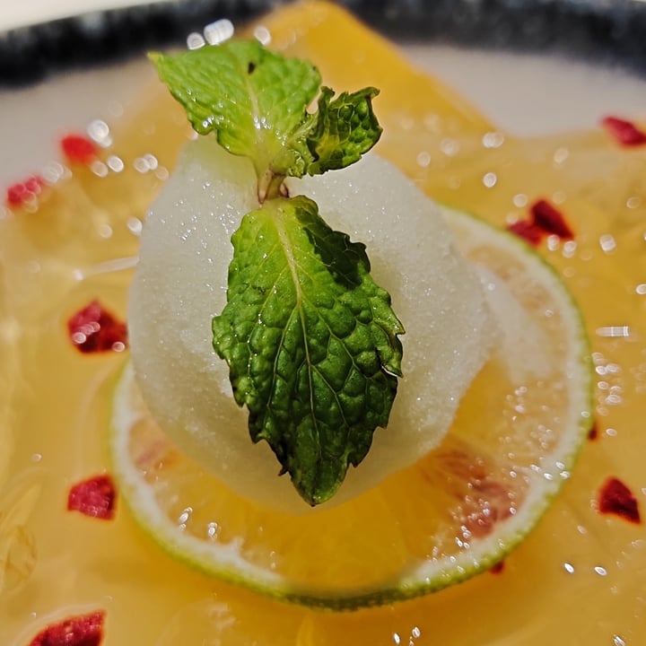 photo of LingZhi Vegetarian - Velocity@Novena Chilled Aloe Vera with Grass Jelly topped with Lime Sorbet shared by @varun on  27 Sep 2020 - review