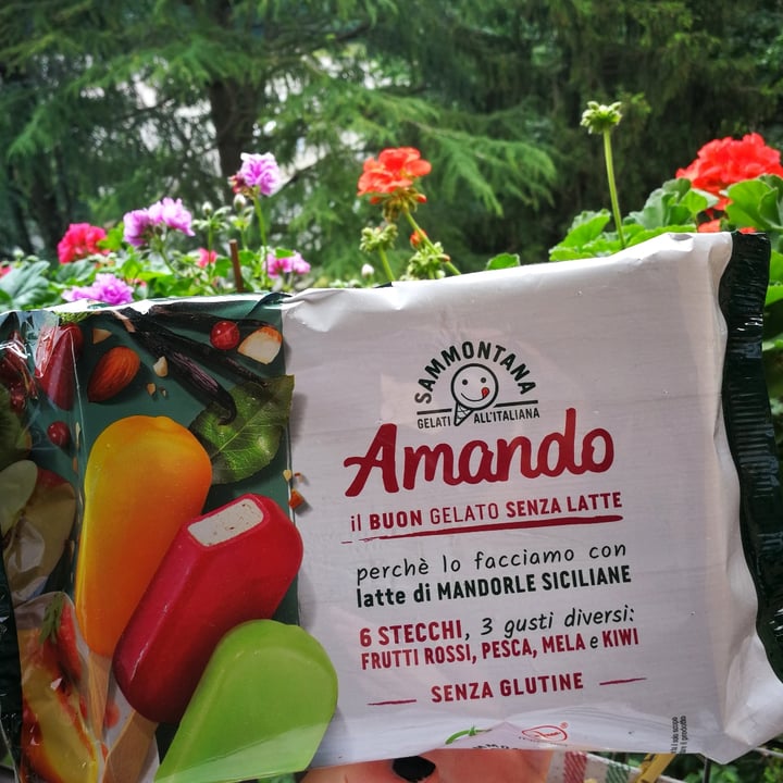 photo of Sammontana Amando 6 Stecchi - Frutti Rossi, Pesca, Mela e Kiwi shared by @camyveg on  31 May 2022 - review