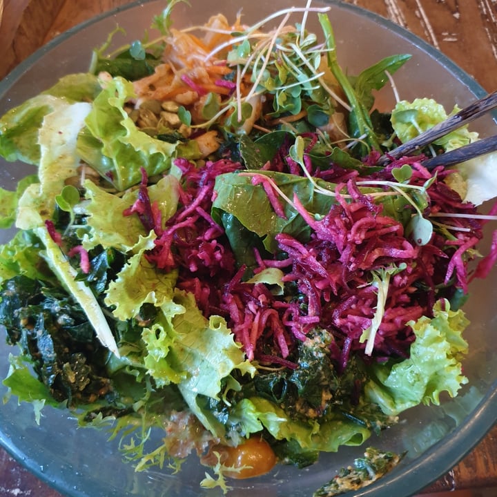 photo of Alchemy Salad Bar shared by @littleredmushroom on  20 Jun 2021 - review
