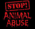 stopanimalabuse38 @stopanimalabuse38 profile image