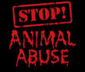 avatar of stopanimalabuse38