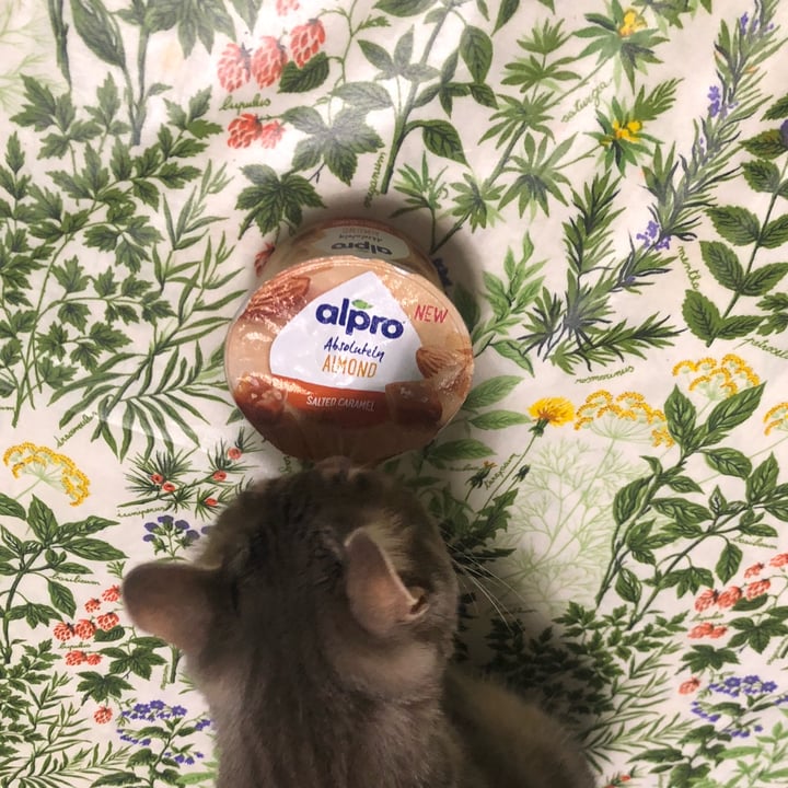 photo of Alpro Absolutely almond salted caramel shared by @albicocca on  22 Aug 2022 - review