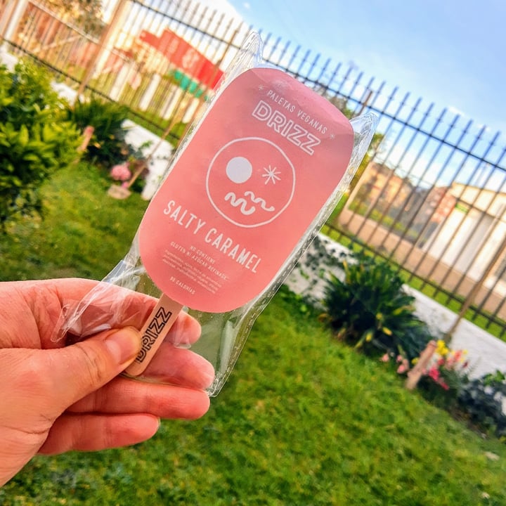 photo of Drizz Paleta Vegana - Salty Caramel shared by @heygabs8 on  21 Oct 2020 - review