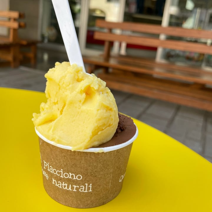 photo of "Il Gelatiere" Gelateria Marina di Pian Marina & C. Gelato Cioccolato Fondente e Mango shared by @whale8 on  26 Mar 2022 - review