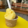 "Il Gelatiere" Gelateria Marina di Pian Marina & C.