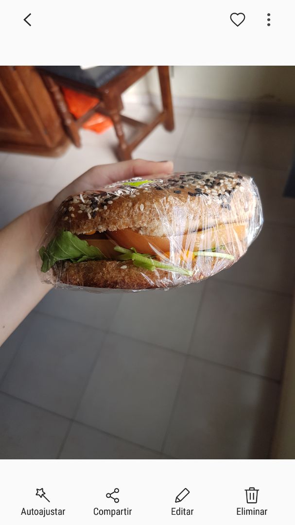 photo of Veganesh Sandwich de Tofu shared by @mechiv on  17 Nov 2019 - review