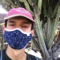 david- @david- profile image