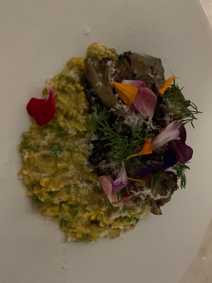 review photo of Plant Miami Sunflower seed risotto shared by @andreamarie on 08 Dec 2019 - review