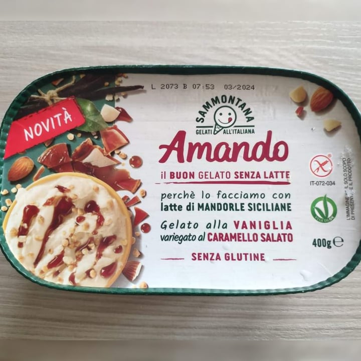 photo of Sammontana Amando Gelato Alla Vaniglia Vatiegato al Caramello Salato shared by @daniela94 on  26 Apr 2022 - review
