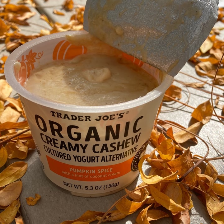 photo of Trader Joe's Organic Creamy Cashew Cultured Yogurt Alternative: Pumpkin Spice shared by @compassionatekisses on  11 Oct 2021 - review