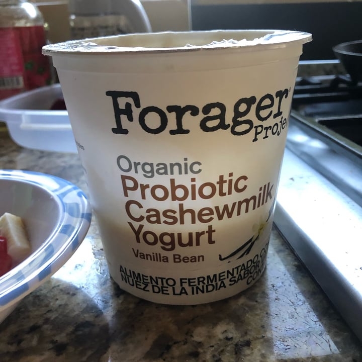 photo of Forager Project Organic cashew yogurt Vanilla bean shared by @marianimalover on  25 Oct 2022 - review