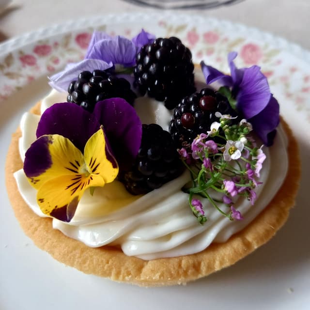 Photo of the dish “Tartaleta De Mascarpone Con Fruta”