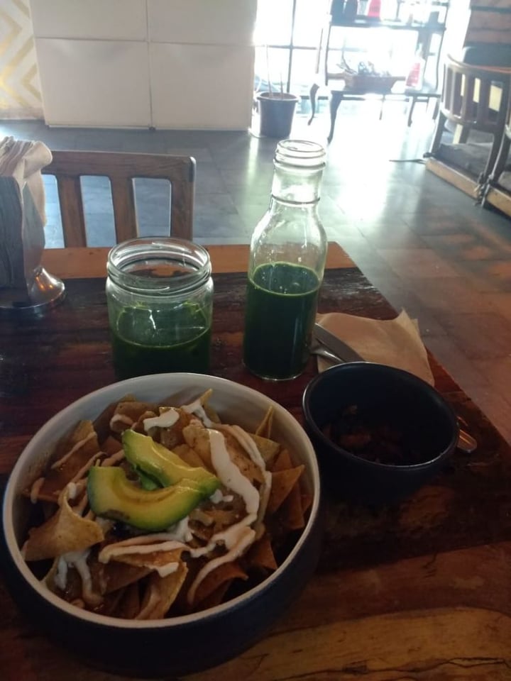 photo of Forever Vegano Chilaquiles de la Milpa shared by @jadesucot on  07 Mar 2020 - review