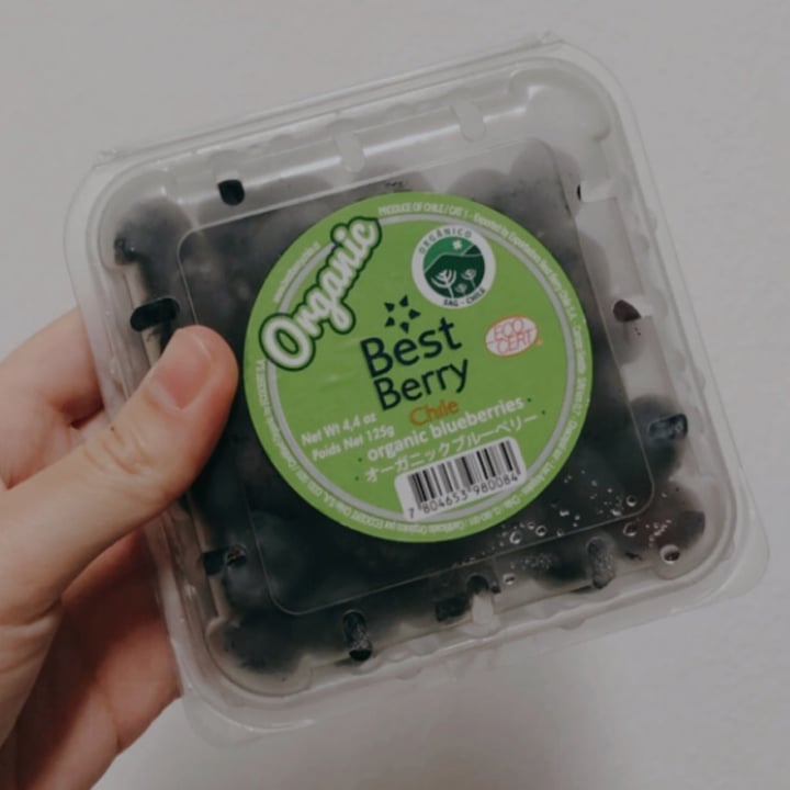 Best Berry Organic Blueberries Review | abillion