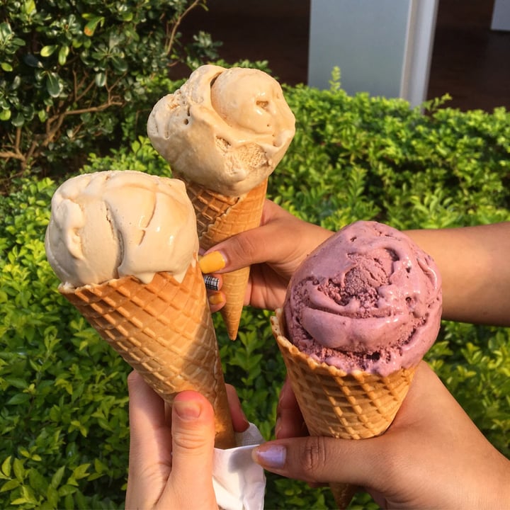 photo of Happy Cow The Wheel Caramel icecream shared by @bananawhirl on  22 May 2019 - review