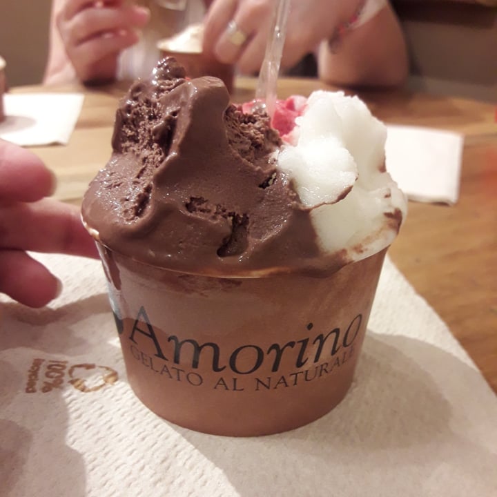 photo of Amorino Helado Vegano shared by @jndaza on  09 Aug 2020 - review