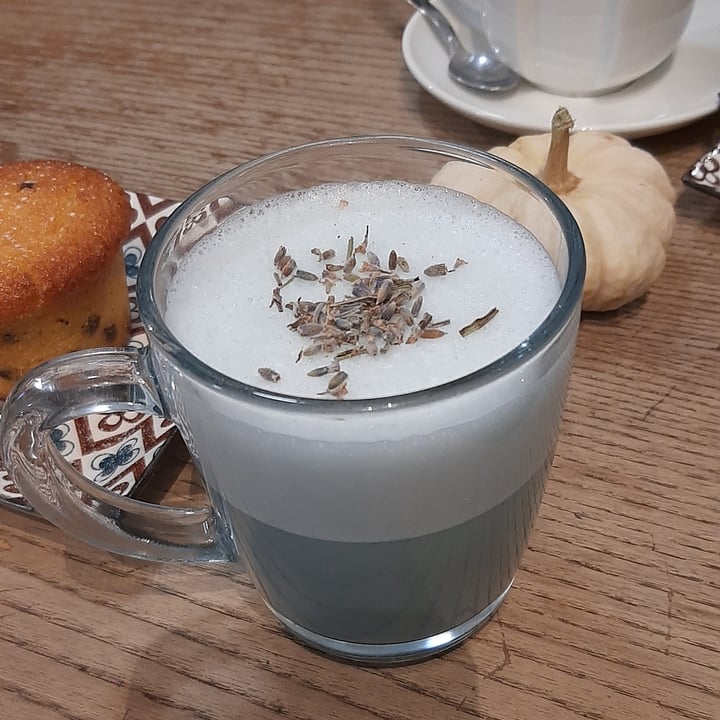 photo of Crazy Cat Café lavander latte shared by @cillafiore on  29 Oct 2022 - review
