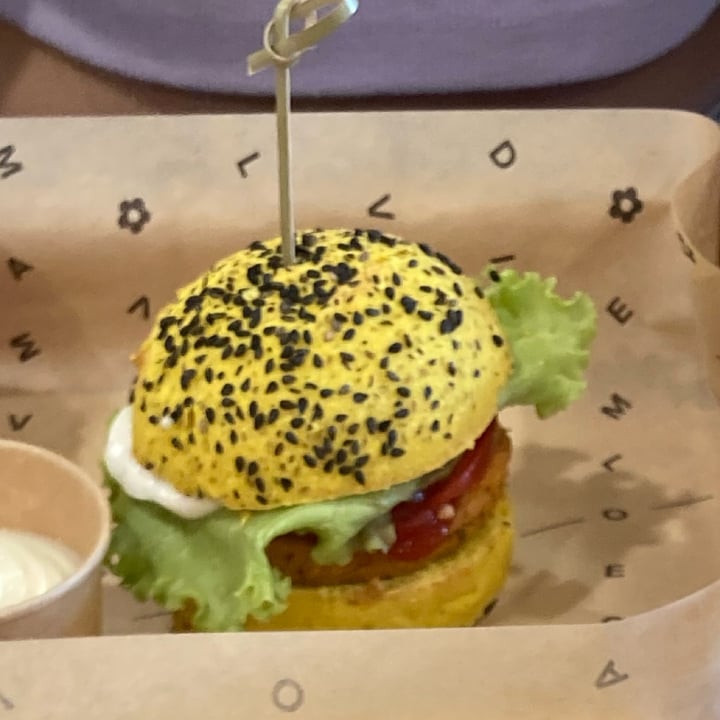 photo of Flower Burger gnomo burger shared by @utente2000 on  14 Jul 2022 - review