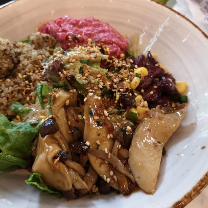 review photo of Haakon Superfoods & Juice Salad Bowl shared by @evetyf on 31 Mar 2021 - review