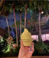 Magic Kingdom Park