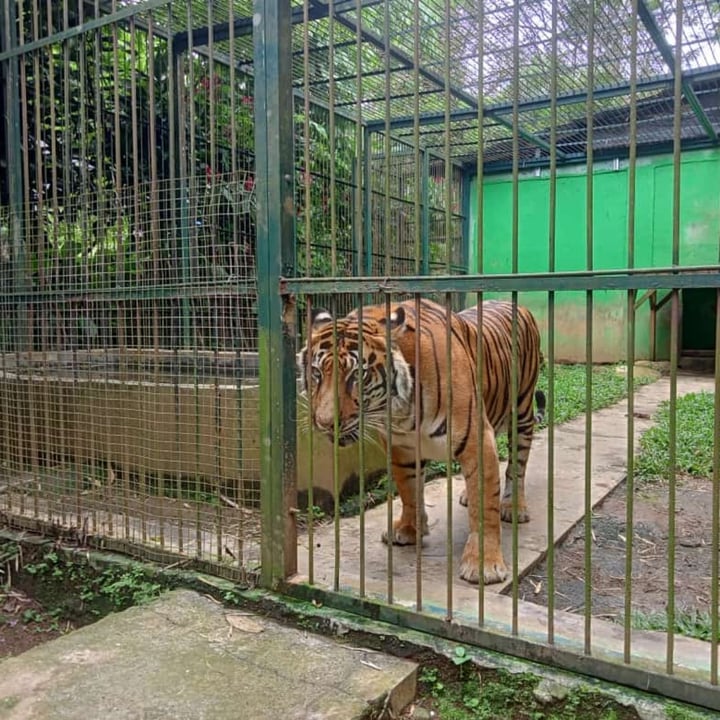 review photo shared by @lisajoesman on 28 Feb 2022 - post