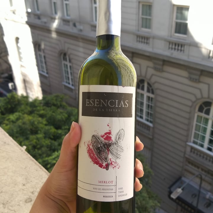 review photo of Esencias de la Tierra Vino Merlot shared by @lauraluizaos on 26 Jul 2021 - review