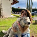 natyfelix @natyfelix profile image